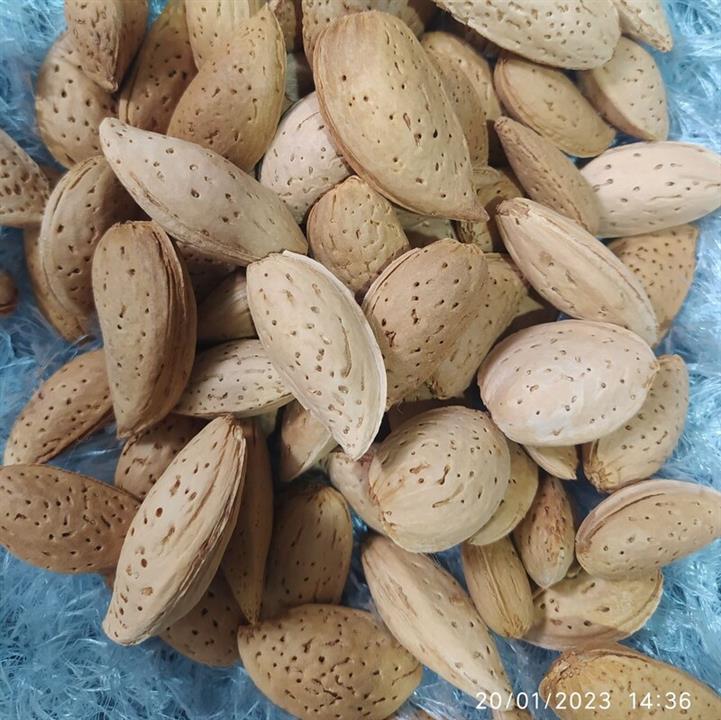 بادام سنگی درجه یک کاملا ارگانیک